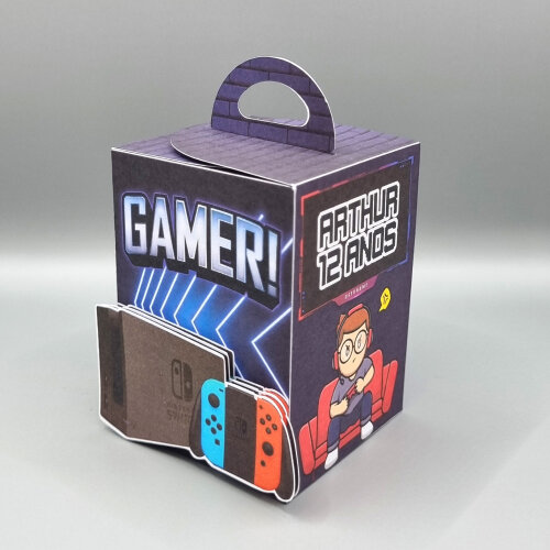 Caixa de Mão - Nintendo Switch