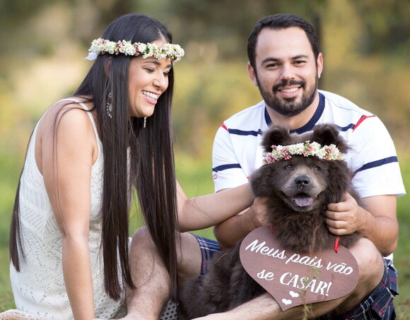 Placa Ensaio para 1 Pet Meus Pais Vão se Casar