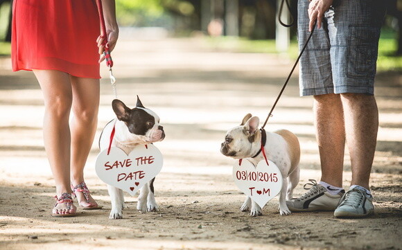 Placas Save The Date para 2 Pets Branca