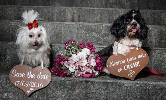 Placas Save The Date para 2 Pets em mdf