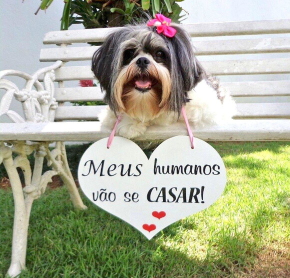 Placa Save The Date para 1 Pet Branca