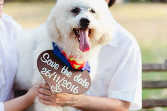 Placa Save The Date p/ 1 Pet Rústica