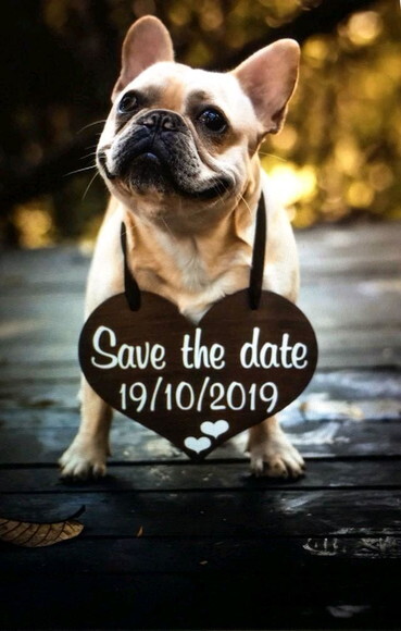 Placa Save The Date p/ 1 Pet Rústica