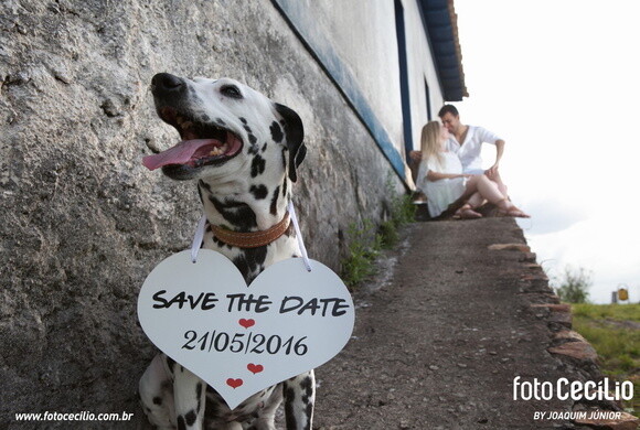 Placa Save The Date para 1 Pet Branca