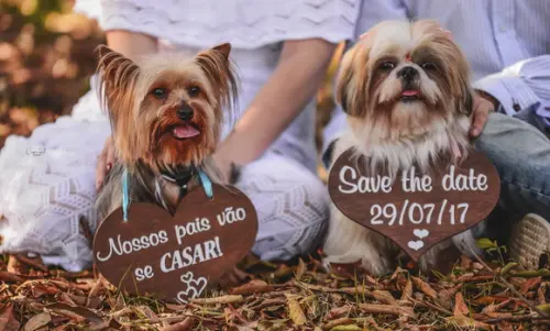 Placas Save The Date para 2 Pets em mdf
