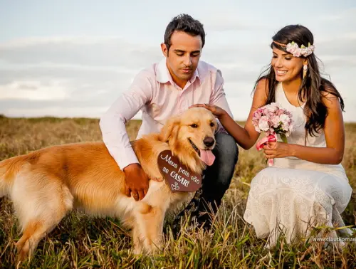 Placa Ensaio para 1 Pet Meus Pais Vão se Casar
