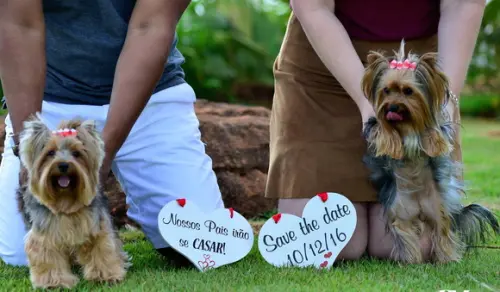 Placas Save The Date para 2 Pets Branca