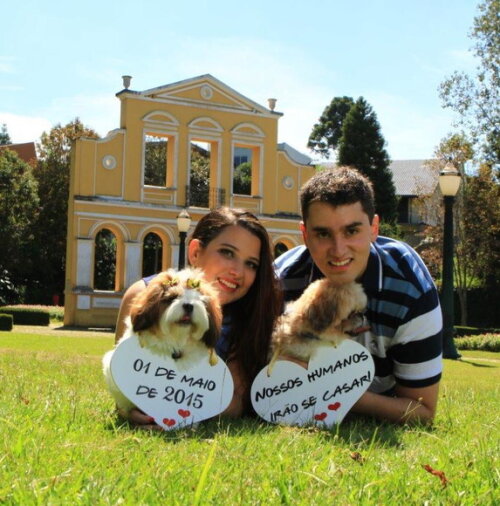 Placas Save The Date para 2 Pets Branca
