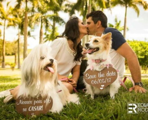 Placas Save The Date para 2 Pets em mdf