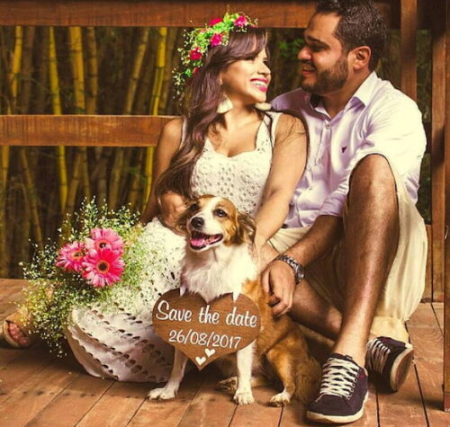 Placa Save The Date p/ 1 Pet Rústica