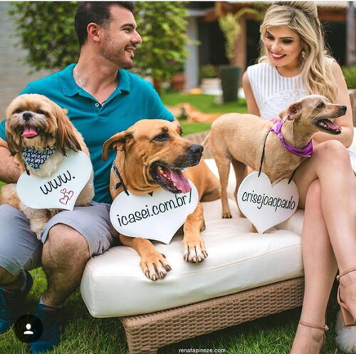 Placas Save The Date p/ 3 Pets Bca