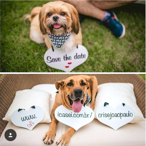 Placas Save The Date p/ 3 Pets Bca