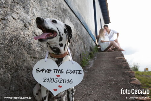 Placa Save The Date para 1 Pet Branca