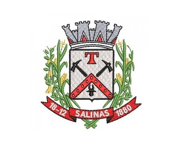 Matriz Bordado Brasão Município Salinas PA