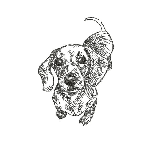 Matriz Bordado Cão Dachshund