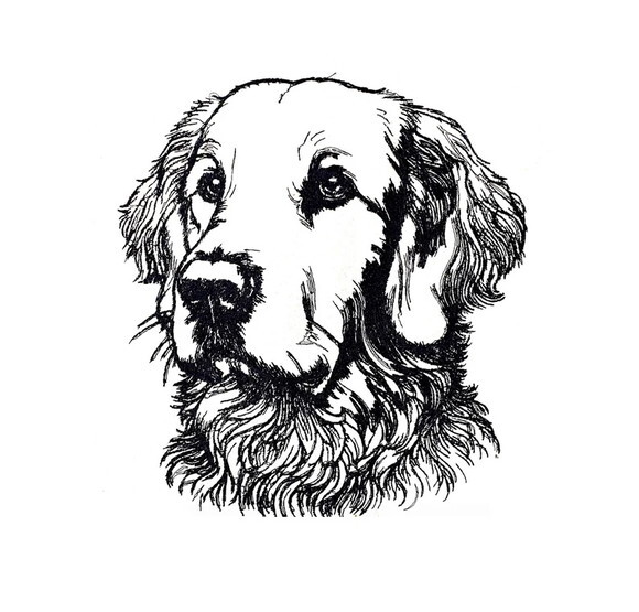 Matriz Bordado Cão Flat Coated Retriever