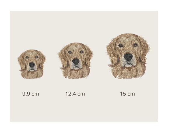Matriz Bordado Cão Golden Retriever