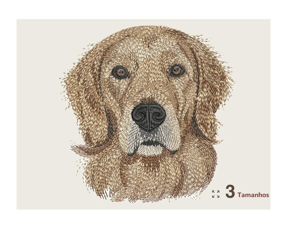Matriz Bordado Cão Golden Retriever