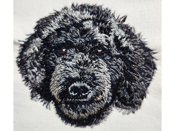 Matriz Bordado Cão Poodle