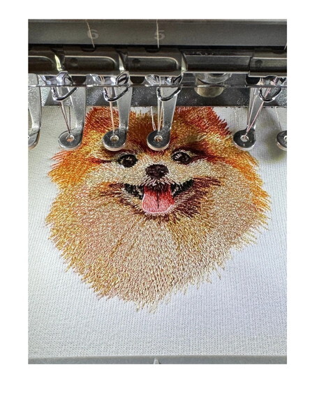 Matriz Bordado Cão Pomeranian