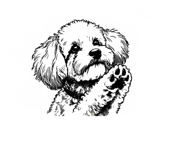 Matriz Bordado Cão Realista Poodle