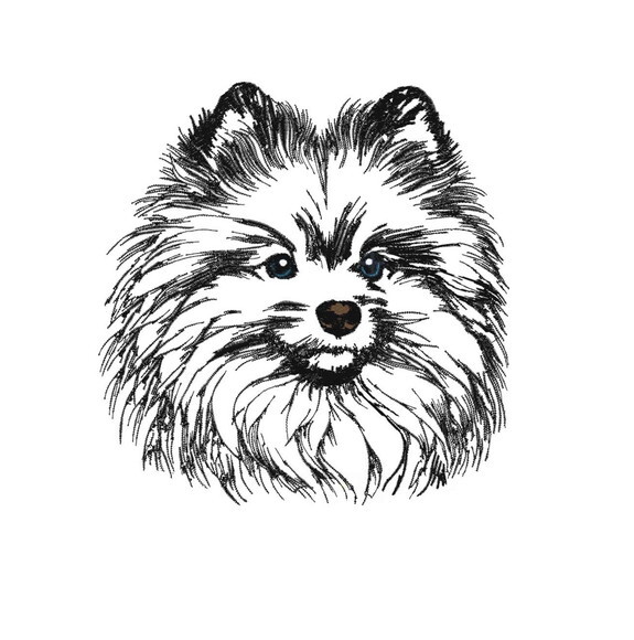 Matriz Bordado Cão Splitz Alemão