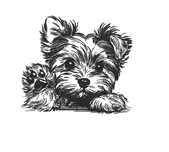 Matriz Bordado Cão Yorkshire Terrier
