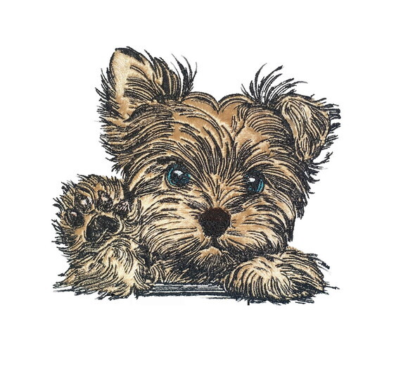 Matriz Bordado Cão Yorkshire Terrier 2