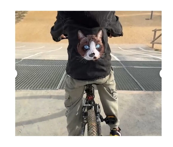 Matriz Bordado Gatinho Realista