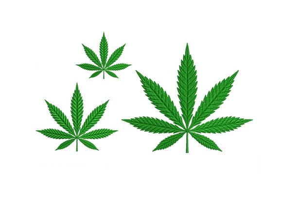 Matriz Bordado Marijuana