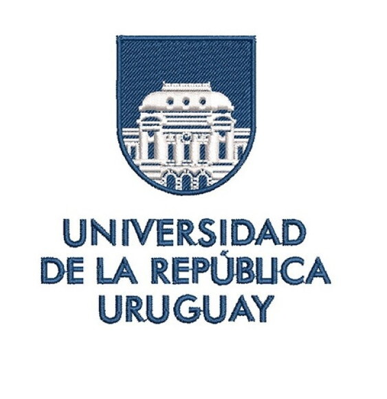 Matriz Bordado Universidad de La República Uruguay
