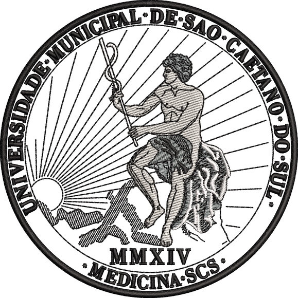 Matriz Bordado Universidade São Caetano