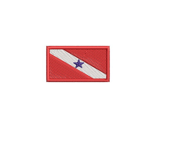 Matriz de Bordado Bandeira Pará Pequena