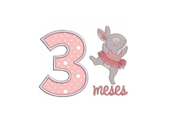Pacote Matriz De Bordados Mesversários Meninas 1 À 11