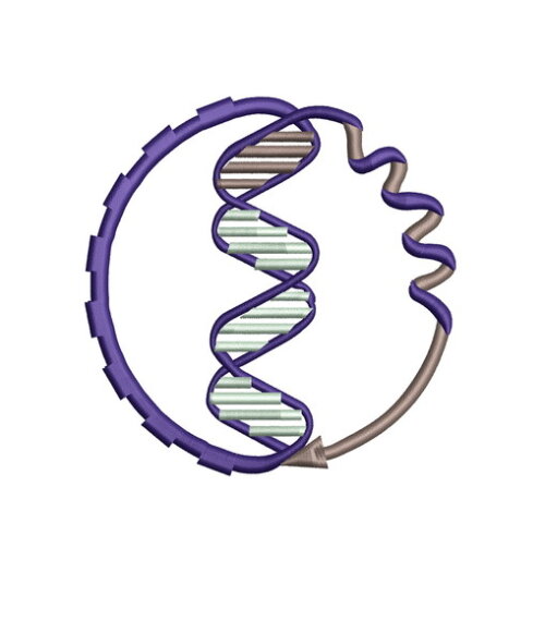 Matriz Bordado Biotecnologia Biomedicina