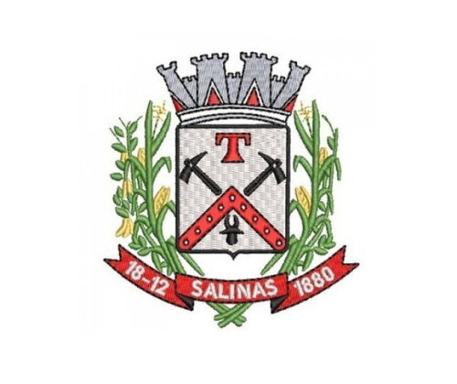 Matriz Bordado Brasão Município Salinas PA