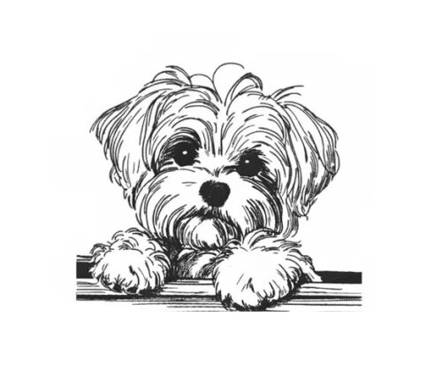 Matriz Bordado Cachorrinho Maltês