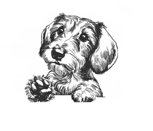 Matriz Bordado Cachorro Rough Haired Realista