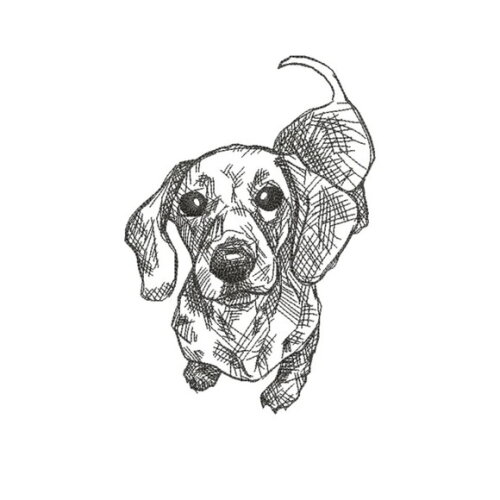 Matriz Bordado Cão Dachshund