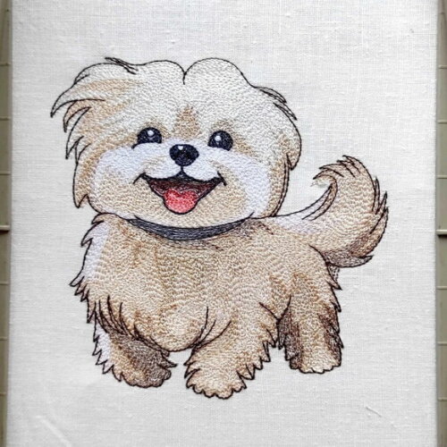 Matriz Bordado Cão Dog Maltipoo