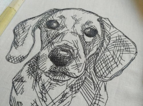 Matriz Bordado Cão Dachshund