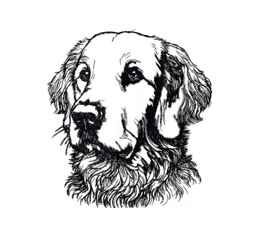 Matriz Bordado Cão Flat Coated Retriever