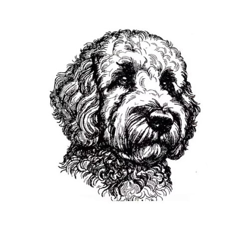 Matriz Bordado Cão Golden Doodle