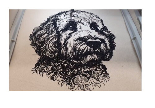 Matriz Bordado Cão Golden Doodle