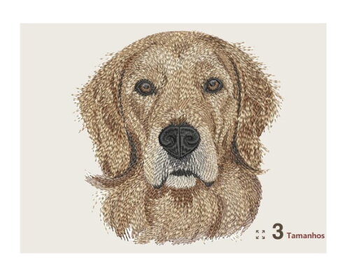 Matriz Bordado Cão Golden Retriever
