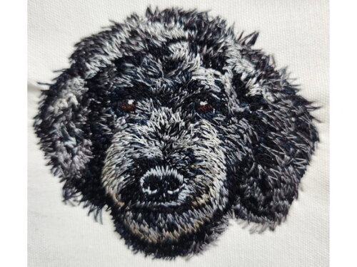 Matriz Bordado Cão Poodle