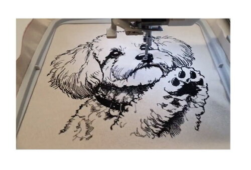 Matriz Bordado Cão Realista Poodle