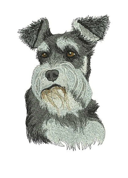 Matriz Bordado Cão Schnauzer