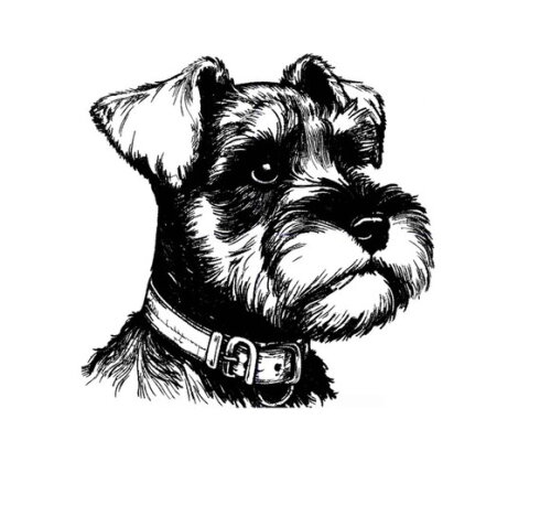 Matriz Bordado Cão Schnauzer 3