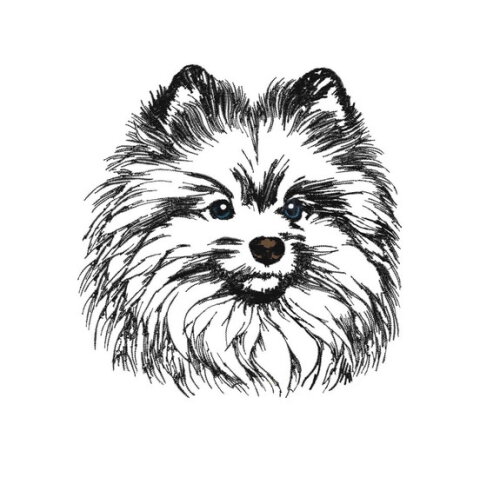 Matriz Bordado Cão Splitz Alemão
